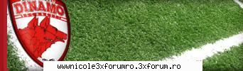 dinamo - andreea - Forum Nou