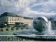 poze - andre - Forum Nou