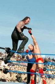 wwe - andreea - Forum Nou